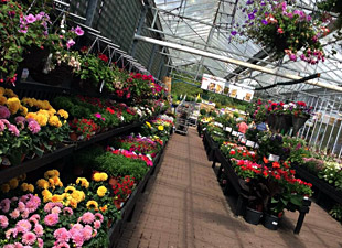 Fakenham Garden Centre 