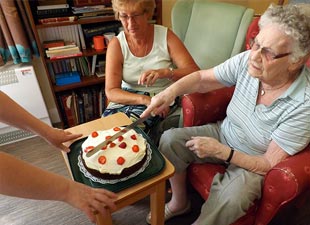 Carrotts to Cake