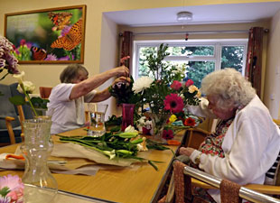 Flower Arranging