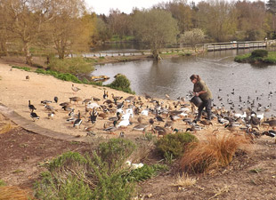 Pensthorpe Nature Park